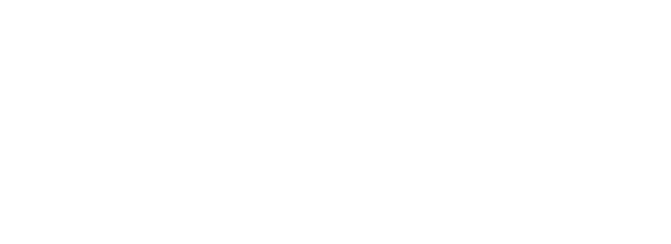 Team Brouwer